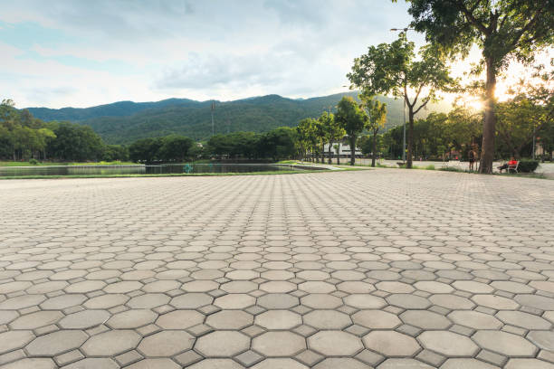 Best Best Driveway Pavers  in Geneva, AL