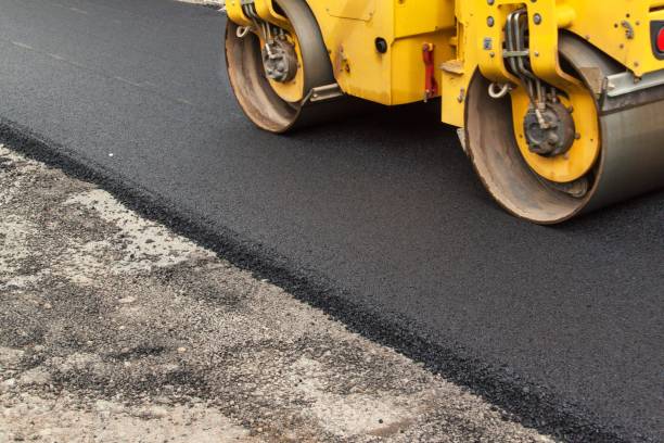 Best Local Driveway Pavers  in Geneva, AL